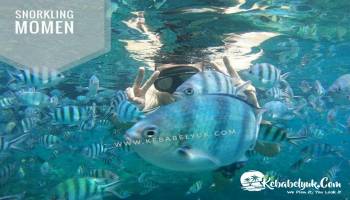 Ini alasan Wisatawan Belitung wajib mengunjungi Pulau Lengkuas