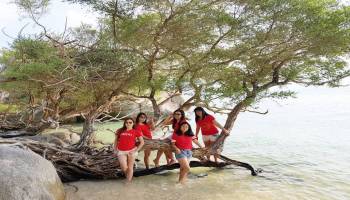 Pulau Putri Ikan-ikan Centil di Pantai Nan Jernih Bisa Dilihat Langsung Dari Atas Perahu