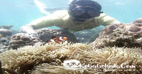 Sewa Alat Snorkeling di Pulau Ketawai