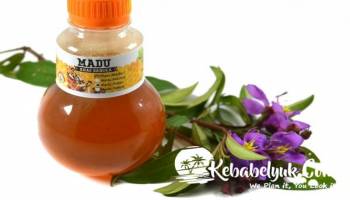 Madu Habang - Madu hutan habang manis 250ml